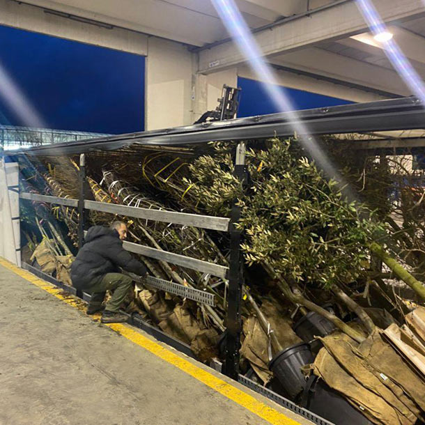 Georg Kopanos ist Spezialist für den Transport von Blumen und Pflanzen